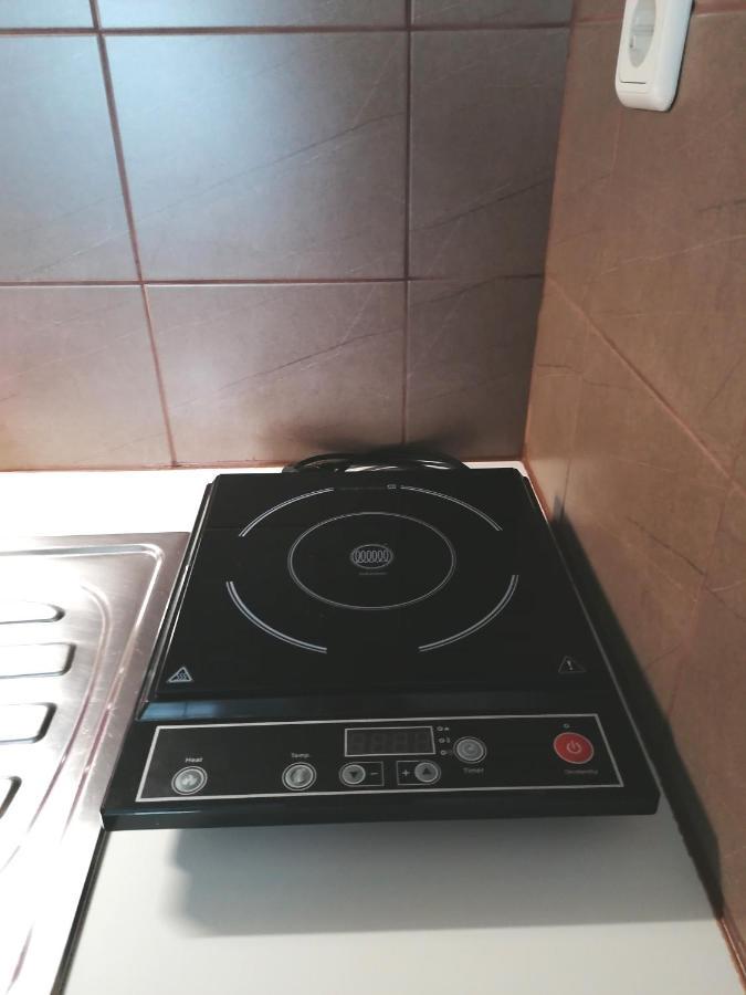 Studio Villa Antunovac Apartment